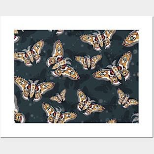 Many Moths Posters and Art